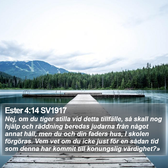 Ester 4:14 SV1917 Bible Study