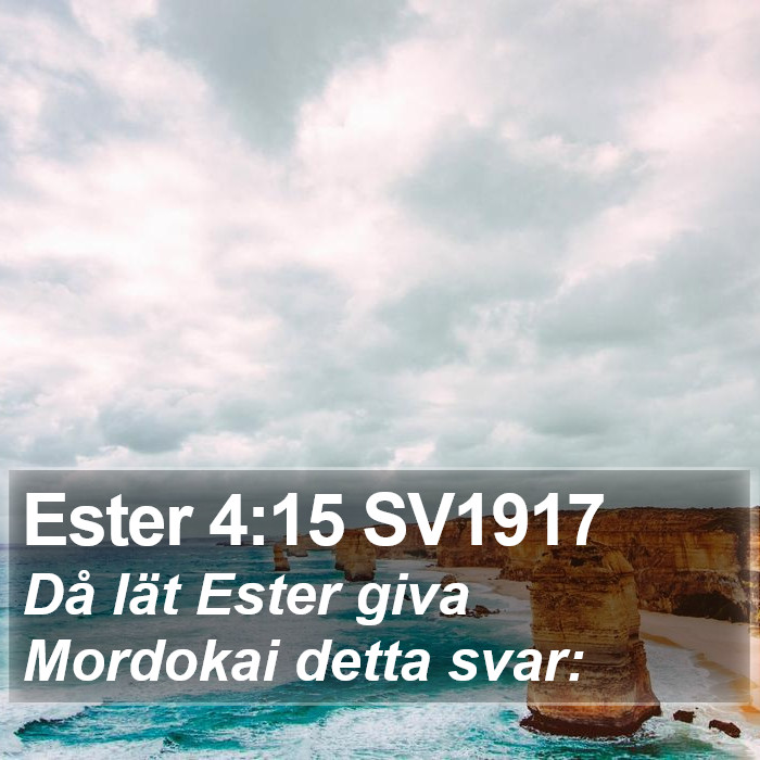 Ester 4:15 SV1917 Bible Study