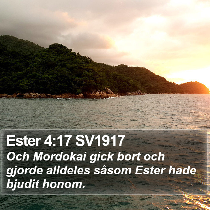 Ester 4:17 SV1917 Bible Study
