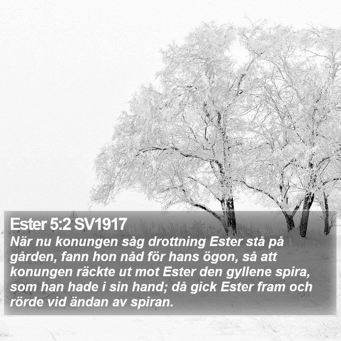 Ester 5:2 SV1917 Bible Study