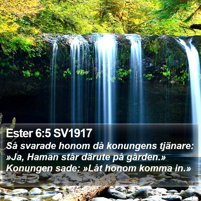 Ester 6:5 SV1917 Bible Study