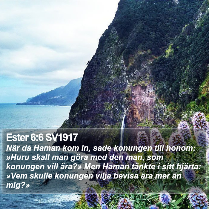 Ester 6:6 SV1917 Bible Study