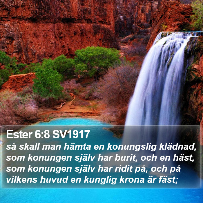 Ester 6:8 SV1917 Bible Study