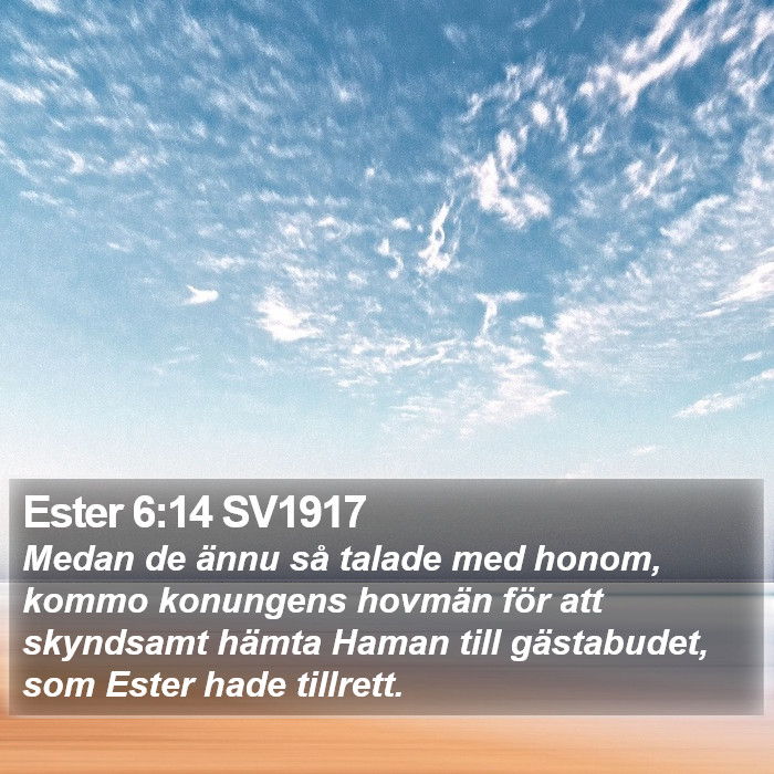 Ester 6:14 SV1917 Bible Study