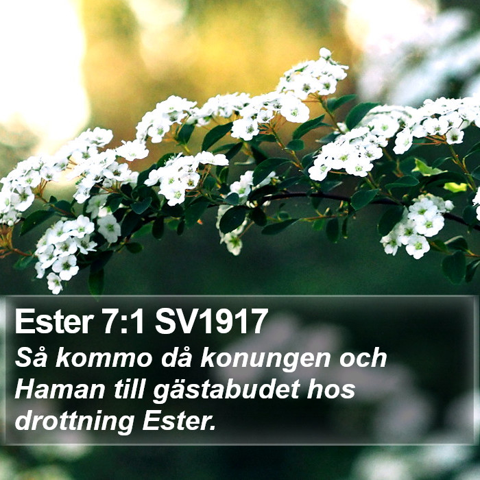 Ester 7:1 SV1917 Bible Study