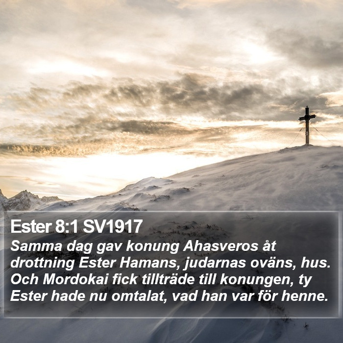 Ester 8:1 SV1917 Bible Study