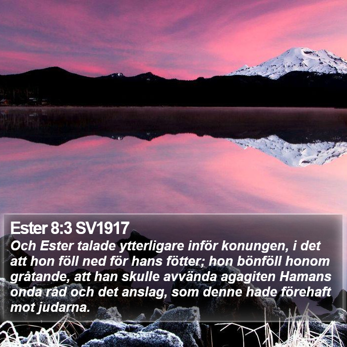 Ester 8:3 SV1917 Bible Study