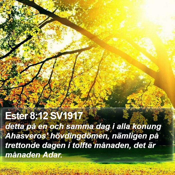 Ester 8:12 SV1917 Bible Study