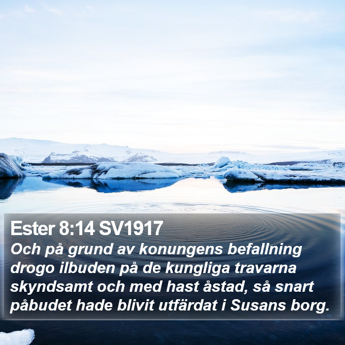 Ester 8:14 SV1917 Bible Study