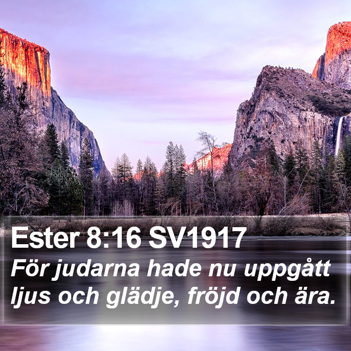 Ester 8:16 SV1917 Bible Study