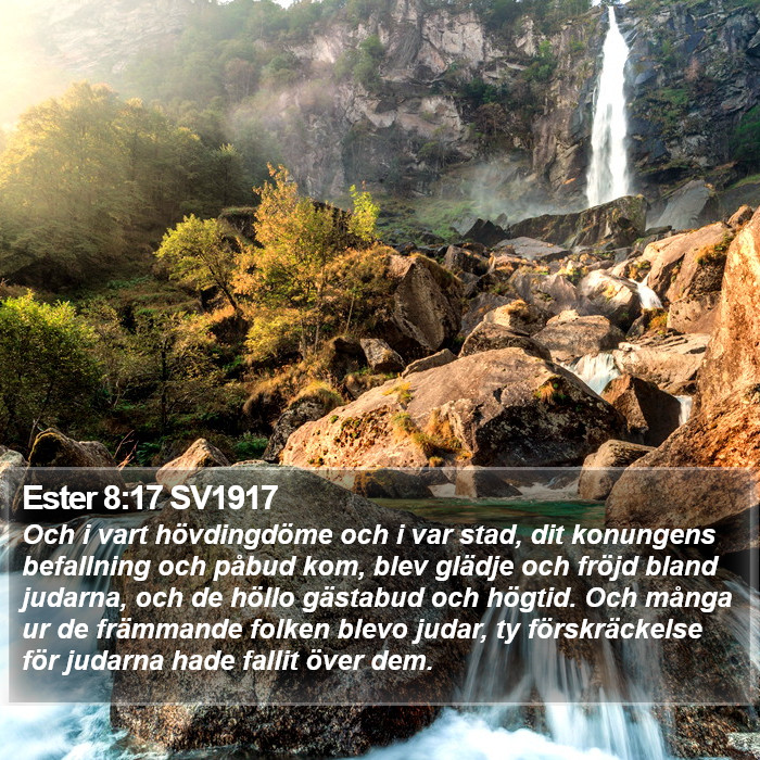 Ester 8:17 SV1917 Bible Study