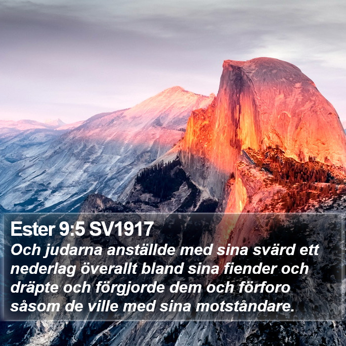 Ester 9:5 SV1917 Bible Study