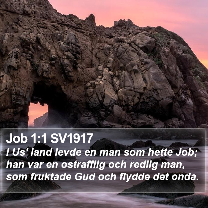 Job 1:1 SV1917 Bible Study