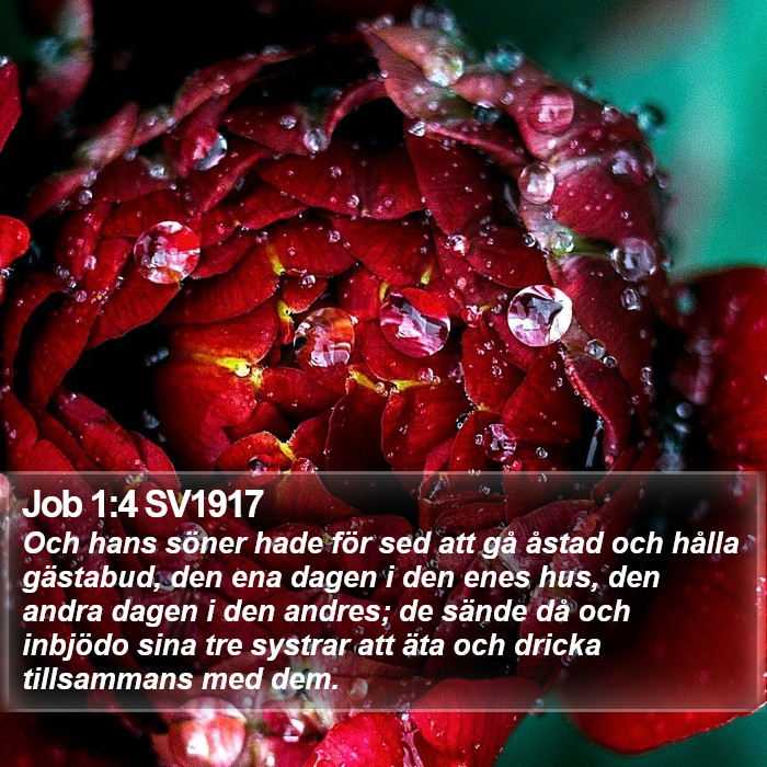 Job 1:4 SV1917 Bible Study