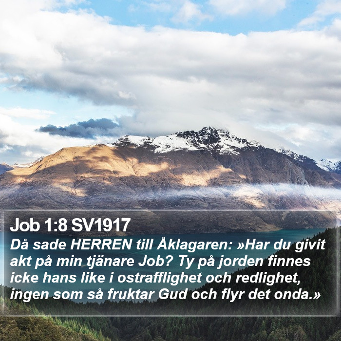 Job 1:8 SV1917 Bible Study