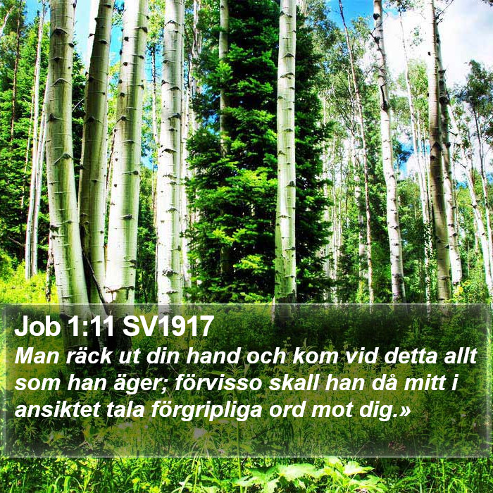 Job 1:11 SV1917 Bible Study