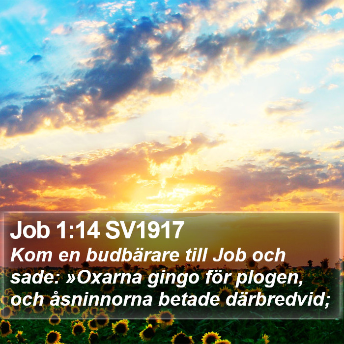 Job 1:14 SV1917 Bible Study