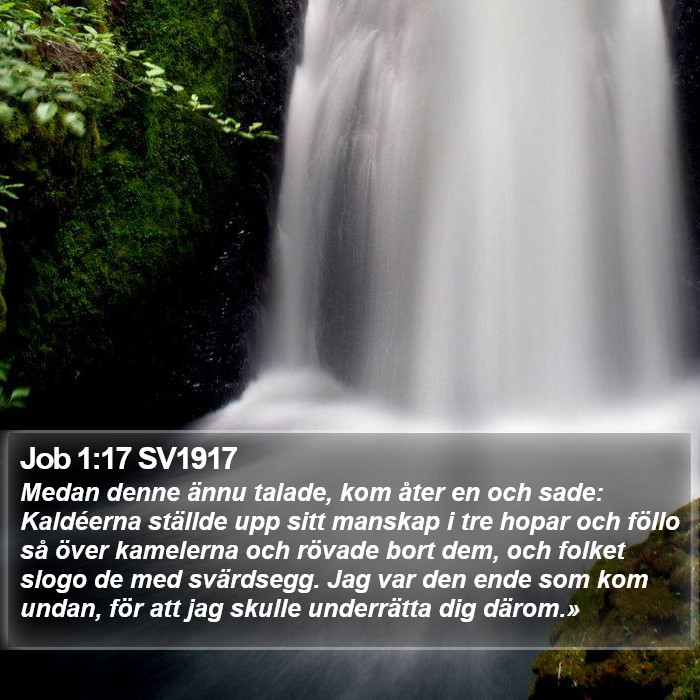 Job 1:17 SV1917 Bible Study