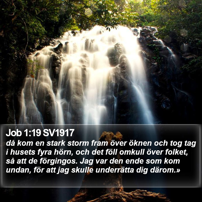 Job 1:19 SV1917 Bible Study