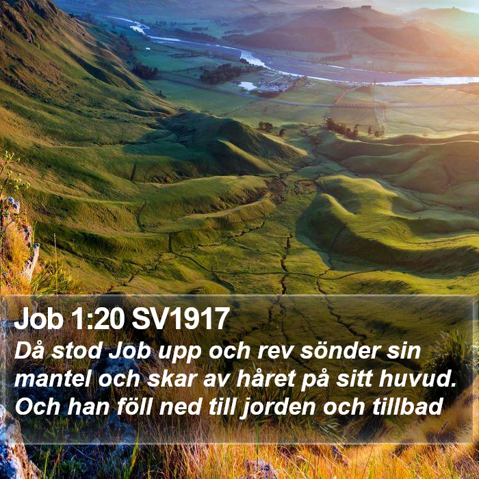 Job 1:20 SV1917 Bible Study