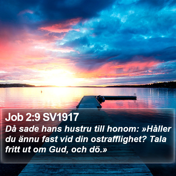 Job 2:9 SV1917 Bible Study