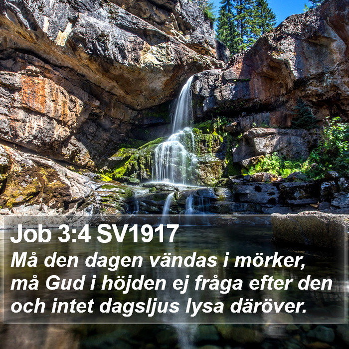 Job 3:4 SV1917 Bible Study
