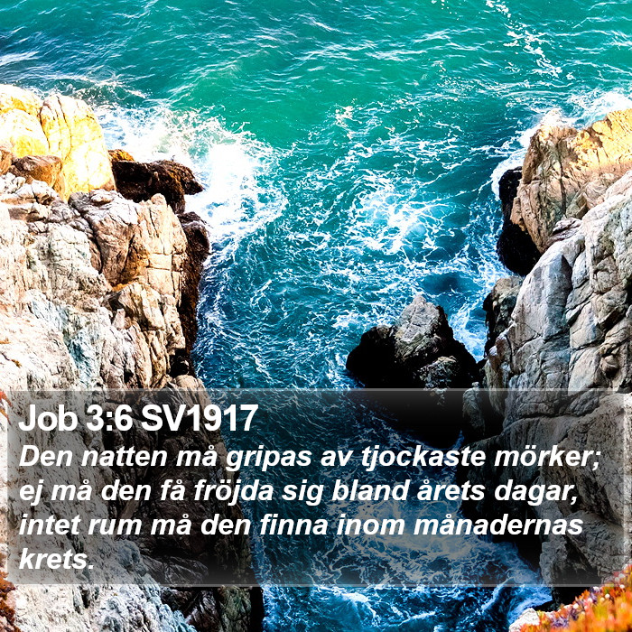 Job 3:6 SV1917 Bible Study