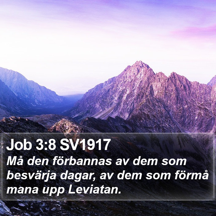 Job 3:8 SV1917 Bible Study