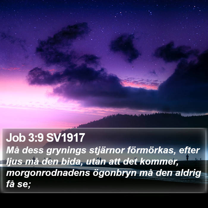 Job 3:9 SV1917 Bible Study