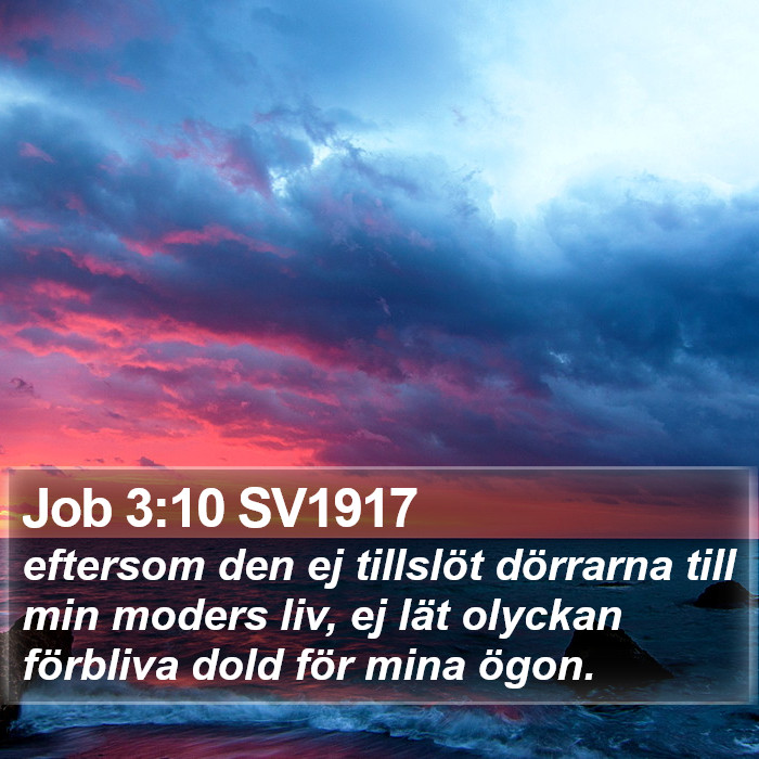 Job 3:10 SV1917 Bible Study