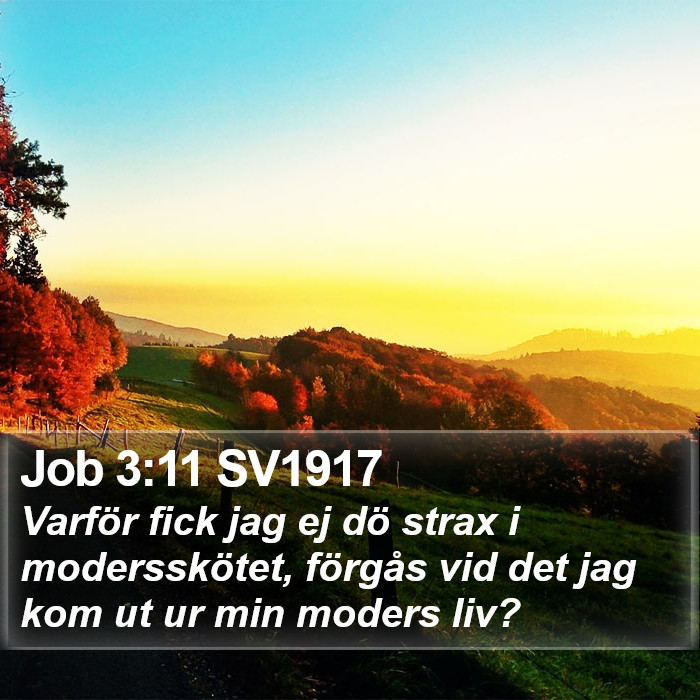 Job 3:11 SV1917 Bible Study