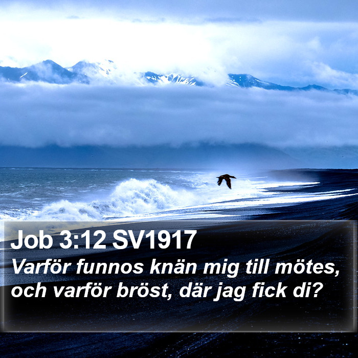 Job 3:12 SV1917 Bible Study