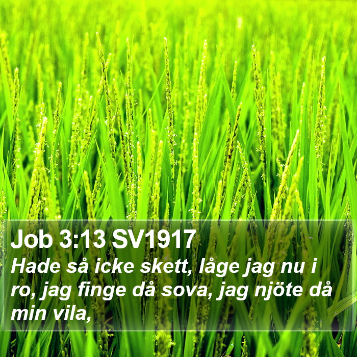 Job 3:13 SV1917 Bible Study