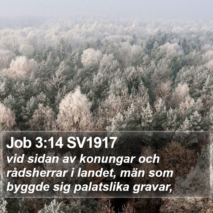 Job 3:14 SV1917 Bible Study
