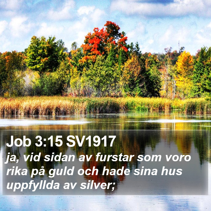 Job 3:15 SV1917 Bible Study
