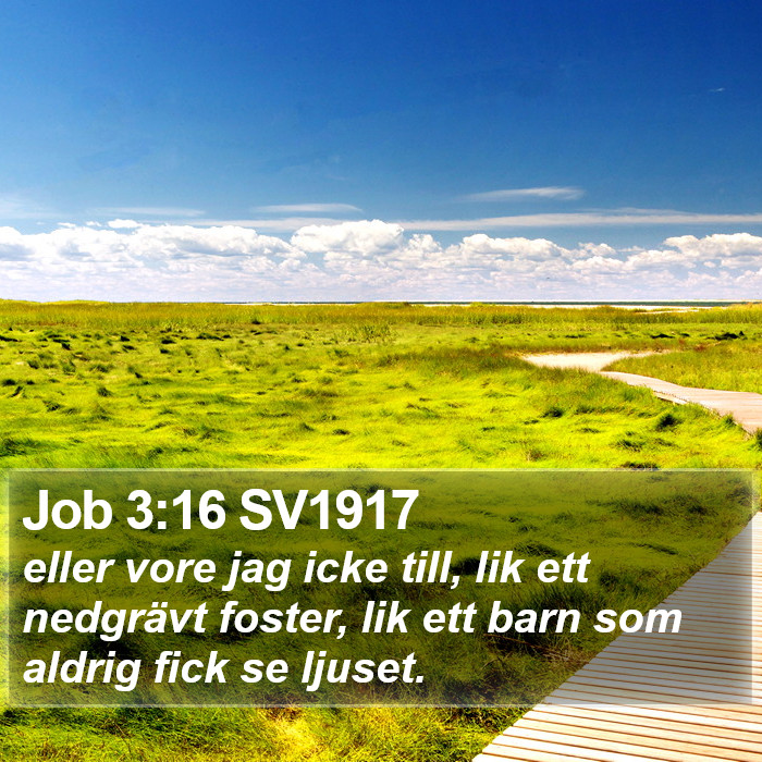 Job 3:16 SV1917 Bible Study