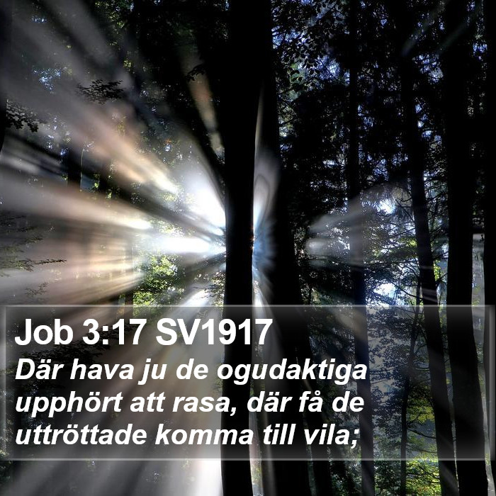 Job 3:17 SV1917 Bible Study