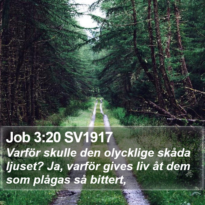 Job 3:20 SV1917 Bible Study