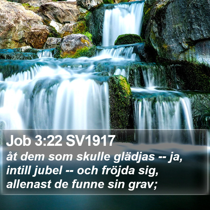 Job 3:22 SV1917 Bible Study