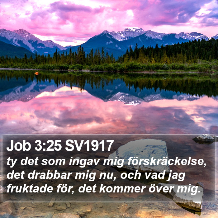 Job 3:25 SV1917 Bible Study