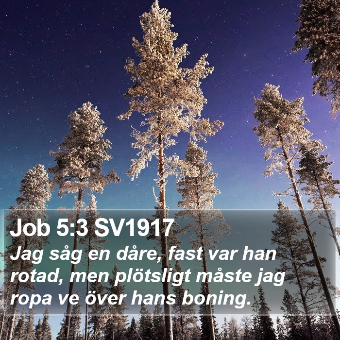 Job 5:3 SV1917 Bible Study