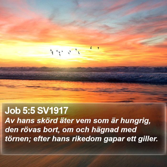 Job 5:5 SV1917 Bible Study