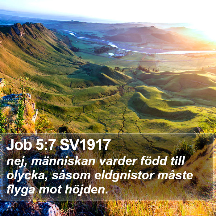 Job 5:7 SV1917 Bible Study