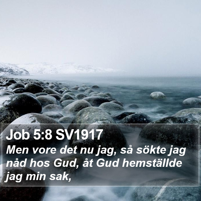 Job 5:8 SV1917 Bible Study