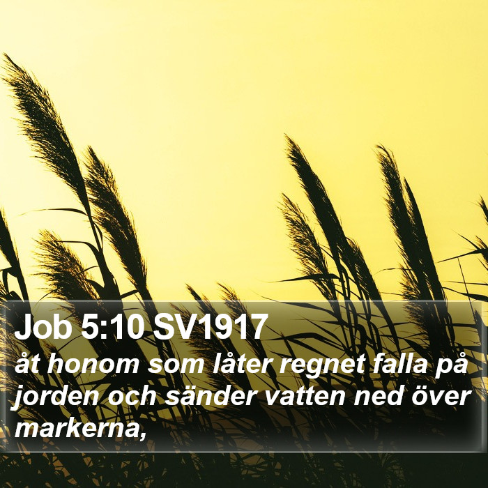 Job 5:10 SV1917 Bible Study