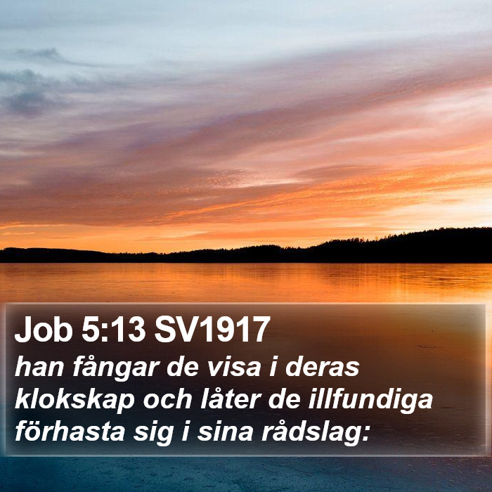 Job 5:13 SV1917 Bible Study