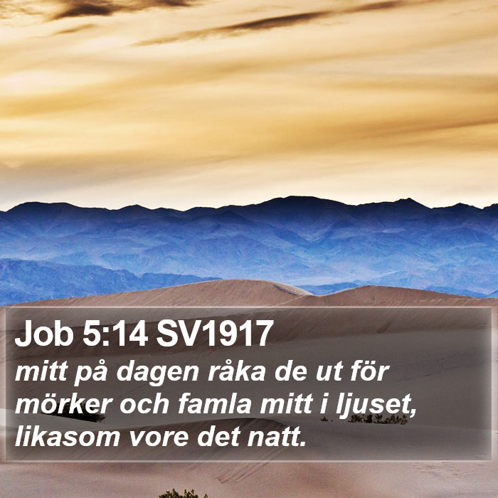 Job 5:14 SV1917 Bible Study