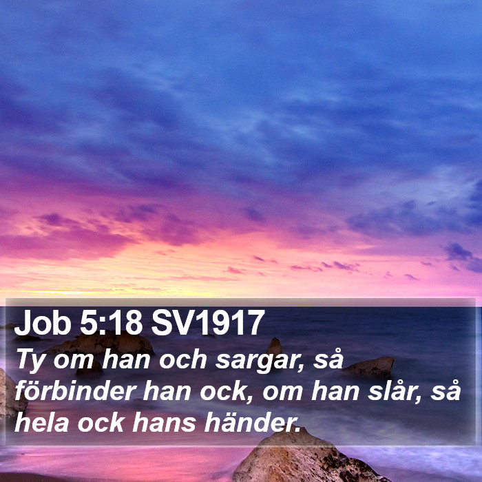 Job 5:18 SV1917 Bible Study