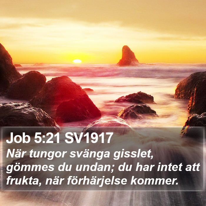 Job 5:21 SV1917 Bible Study