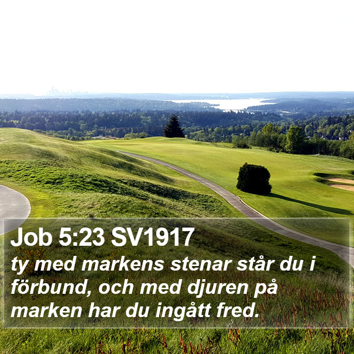 Job 5:23 SV1917 Bible Study